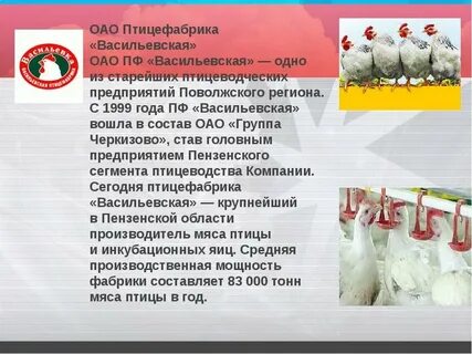 История птицефабрики