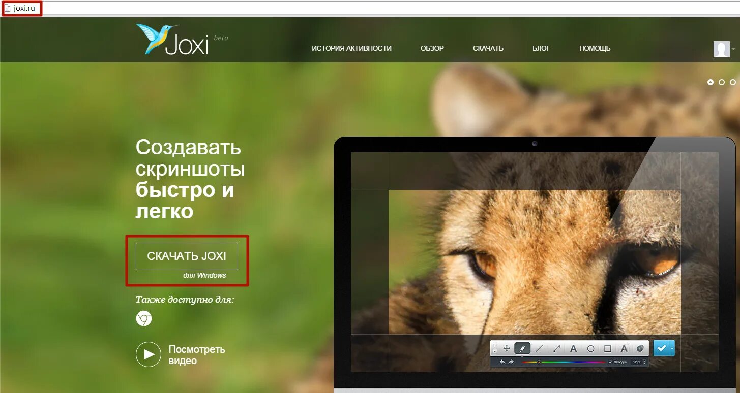 Джокси. Скриншоты программа joxi. Скриншот сайта с прокруткой. Joxi скриншот. Джокси.