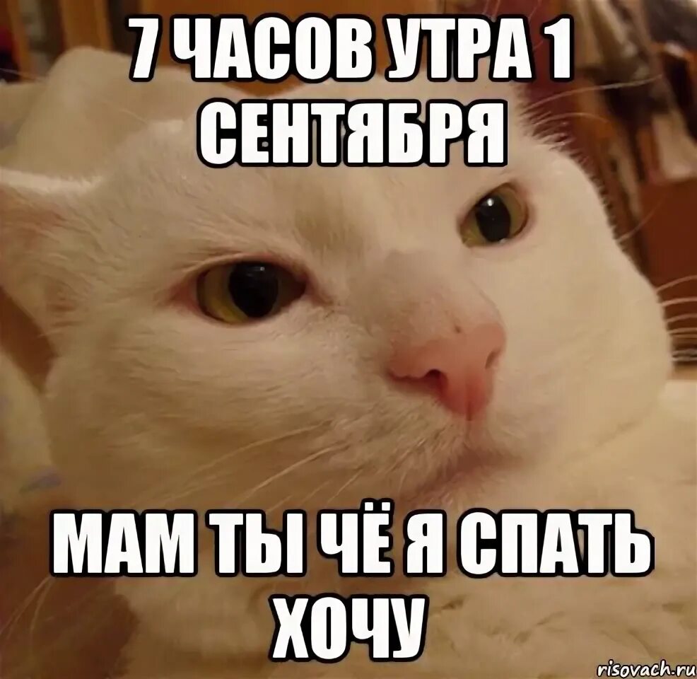 Че ты мне подмигиваешь песни. Мемы нулевых. Ангел амиго. #жигазажигалка боронина. Че ты мне подмигиваешь песни.
