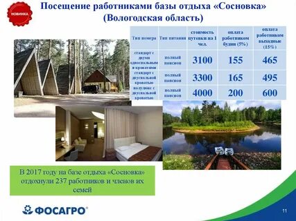 Сосновка номера