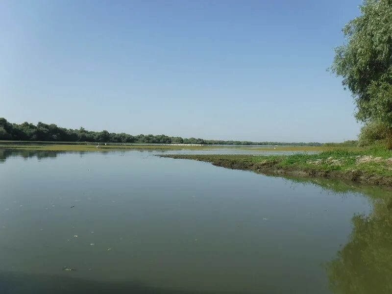 Дельта реки дунай. Устье реки амазонка. Река дунай в австрии. Река дунай. Устье дуная.