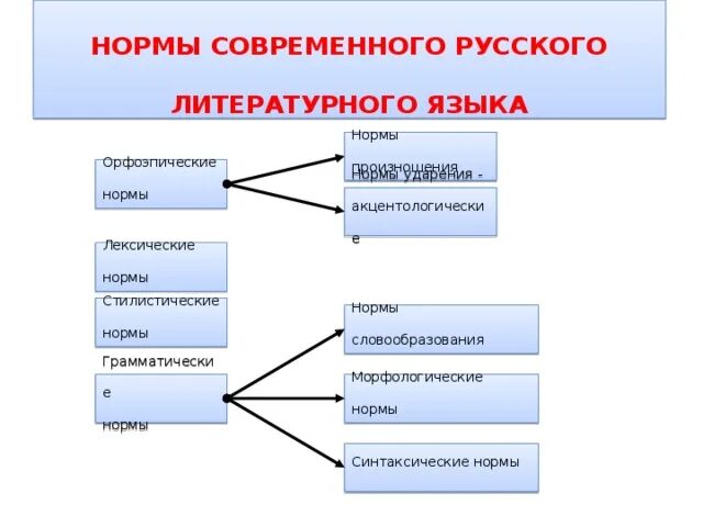 Современный русский литературный язык примеры слов. Нормы современного русского литературного языка таблица. Нормы современного русского литературного языка примеры. Нормы литературного языка схема. Основные языковые нормы современного русского литературного языка.