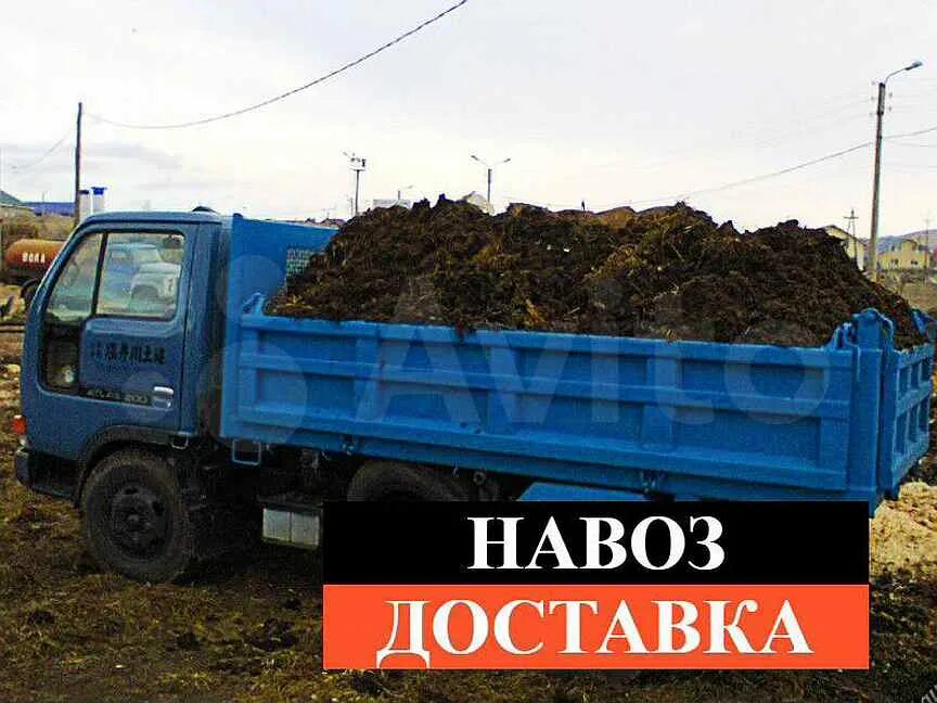 Машина перегноя. Тачка с навозом фото. Машина перегноя. Камаз с навозом. Газ 53 навоз.