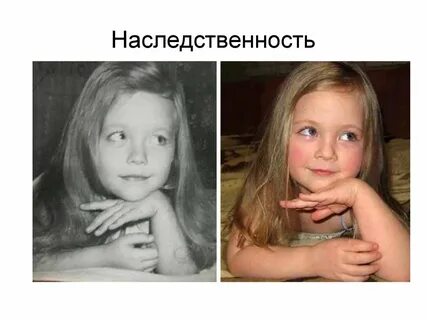 Найти свою копию
