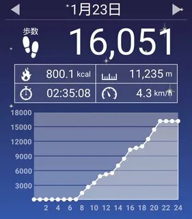 30000 шагов сколько