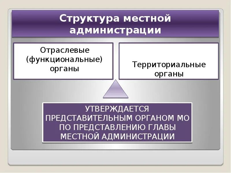 Орган самоуправления это администрация. Структура местной администрации. Отраслевые функциональные органы. Отраслевые функциональные органы администрации это. Местная администрация в структуре органов.