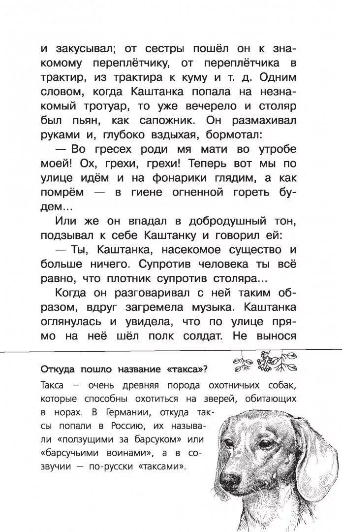 Каштанка автор. Каштанка рисунок. Каштанка оглянулась и увидела что. Каштанка (с иллюстрациями). Каштанка оглянулась и увидела что.