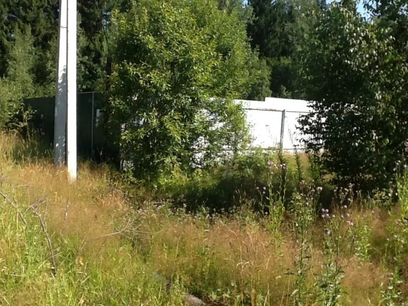 с п кутузовское солнечногорский. с п кутузовское солнечногорский. солнечногорский р н с п кутузовское д. с п кутузовское солнечногорский. сельское поселение кутузовское деревня подолино.