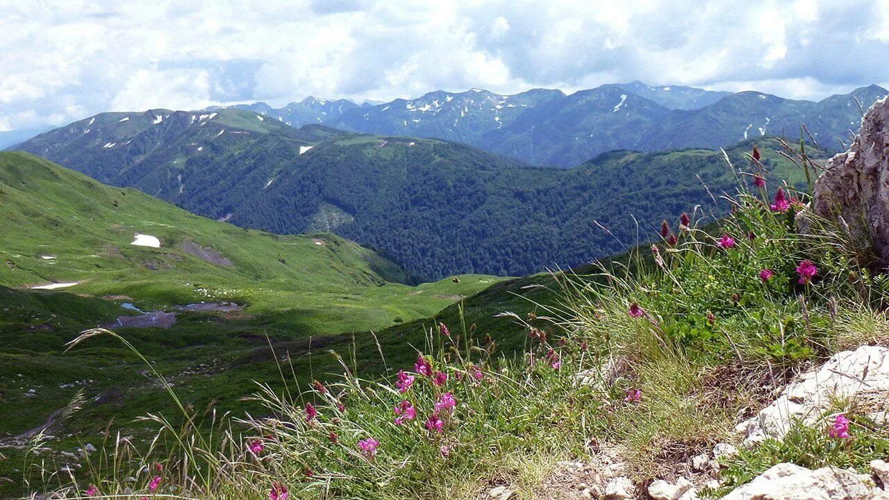 Юг россии. Субальпийские Луга Кавказа. Хакасия высокогорные субальпийские Луга. Предгорная зона Краснодарского края. Субальпийские и Альпийские Луга Краснодарского края.