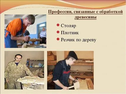 Профессии связанные с производством и обработкой дерева