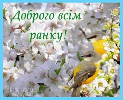 Чи добре