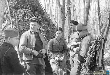 Плетневские партизаны рассказ
