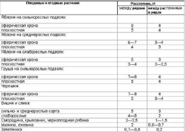 Расстояние при посадке черешни. Расстояние между саженцами деревьев при посадке таблица. расстояние между деревьями при посадке сада таблица и кустарники. расстояние между деревьями при посадке плодовых деревьев. расстояние между саженцами плодовых деревьев при посадке таблица.