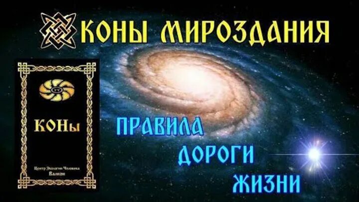 Вся жизнь на кону