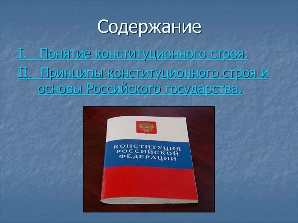 Принципы хорошего гражданина. Понятие конституционного строя.