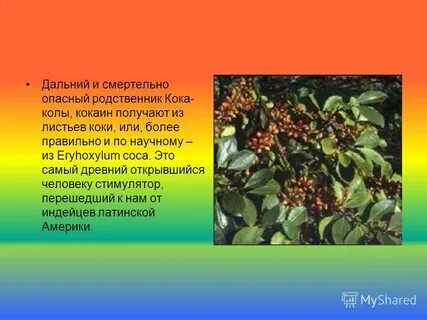 Листья что делают действия