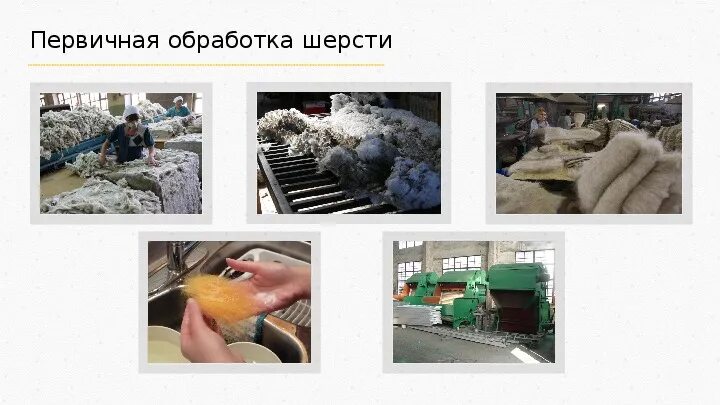 Первичная обработка шерсти. Переработка шерсти овец. этапы переработки шерсти. этапы первичной обработки шерсти.