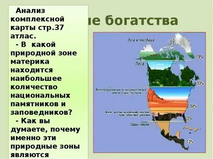 Описание 1 природной зоны северной америки