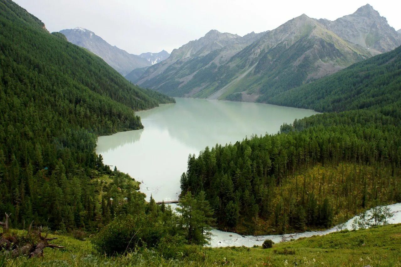 Озеро расположенное на алтае. Озера Алтай Тюнгур. Тюнгур-Кучерлинское. Кучерлинское озеро горный Алтай. Акташ Мультинские озера.