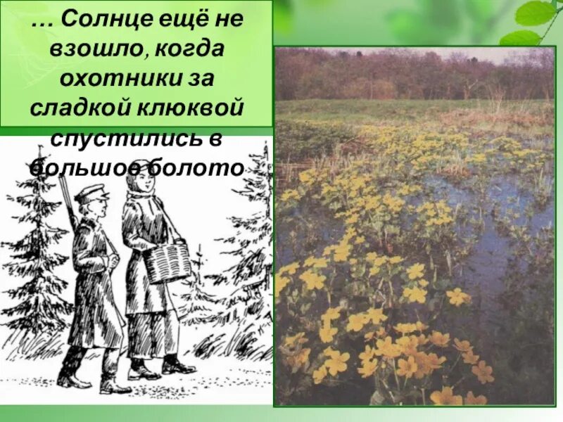 Тест по кладовой солнца 6 класс. Кладовая солнца охотники за сладкой клюквой. Серый помещик кладовая солнца. Кладовая солнца клюква. Палестинка кладовая солнца.