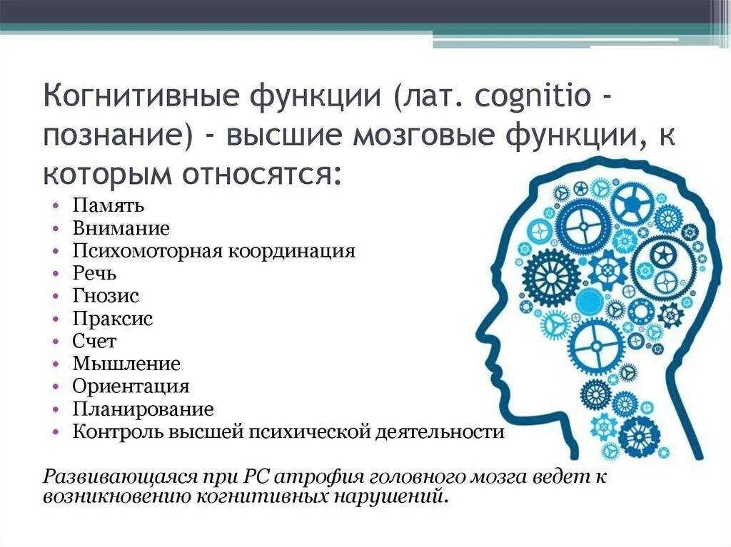 Перечень когнитивных функций. Конгитивнвные функции. Когнитивные функции. Когнитивные функции мозга. Когнитивные функции внимание