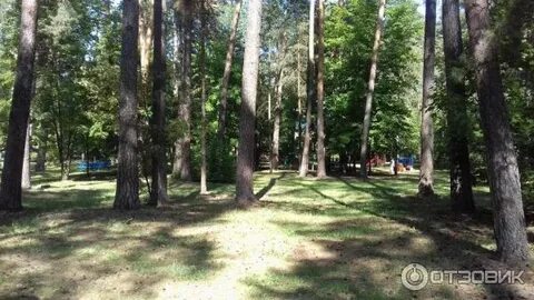 Калуга бор отзывы