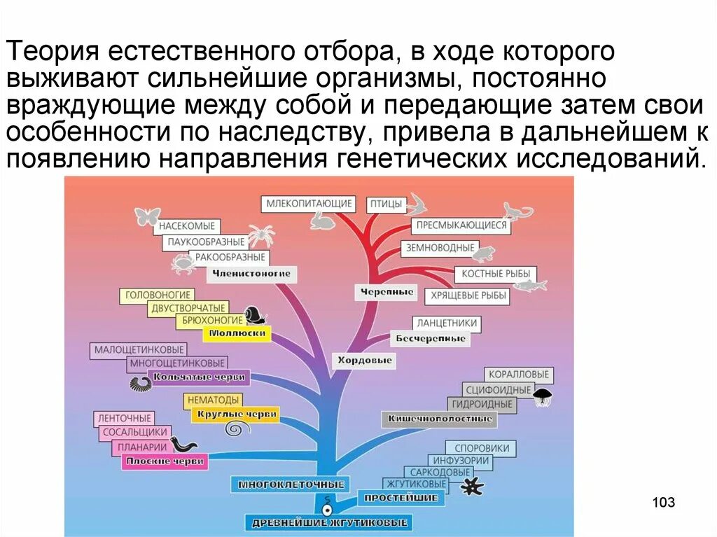 Естественное учение. Теория естественного отбора. Теория эволюции и естественного отбора. Концепция естественного отбора. Гипотеза естественного отбора.