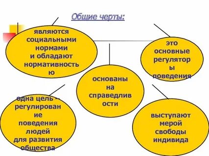 Социальные регуляторы кратко