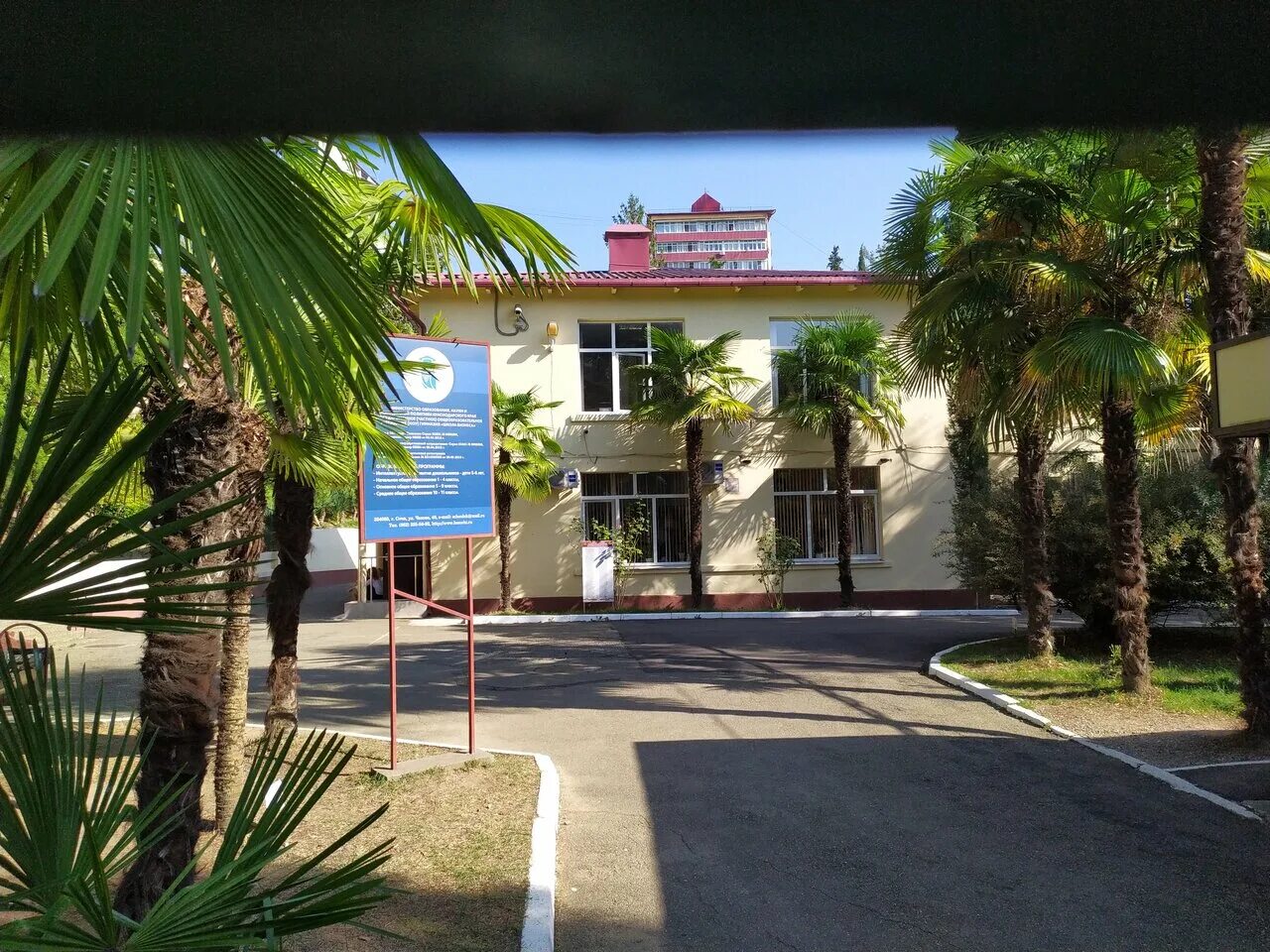 частные школы сочи. частные школы сочи. школа бизнеса сочи. чехова, 40. ноу гимназия школа бизнеса сочи.