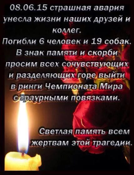 Стихи о потери близких друзей. В память об ушедшем друге. Стихи о погибшем друге. Слова скорби. Светлая память стихи.