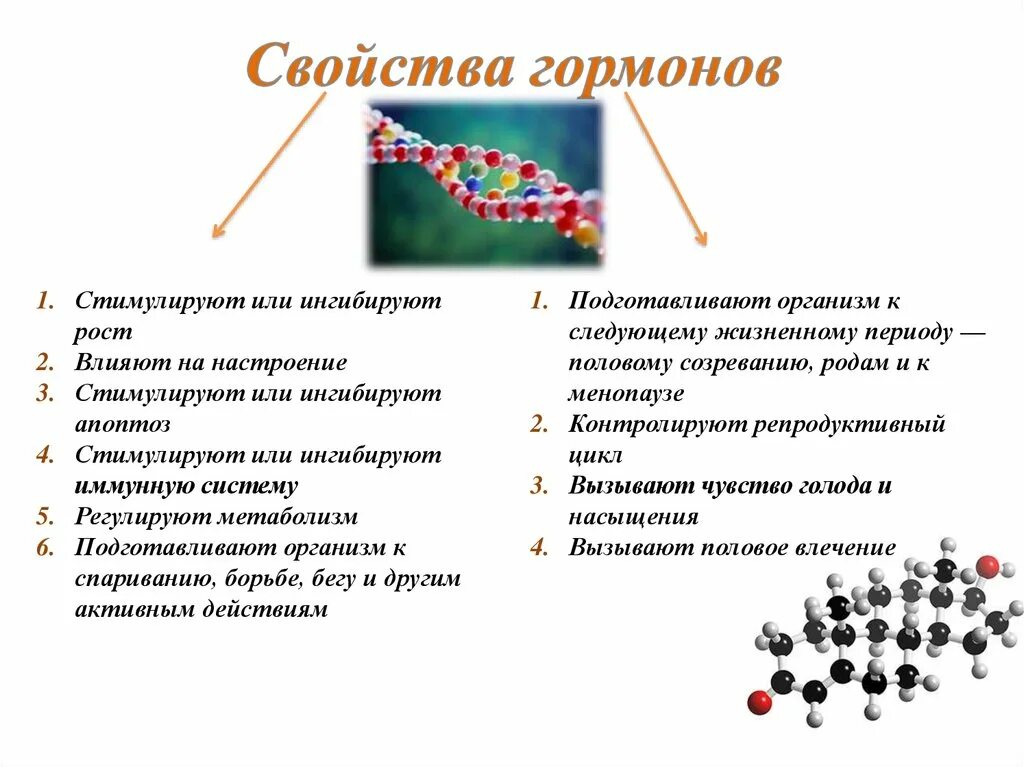 Назовите свойства гормонов. Свойства гормонов 8 класс кратко. Перечислите свойства гормонов. Назовите основные свойства гормонов. Физические свойства гормонов.