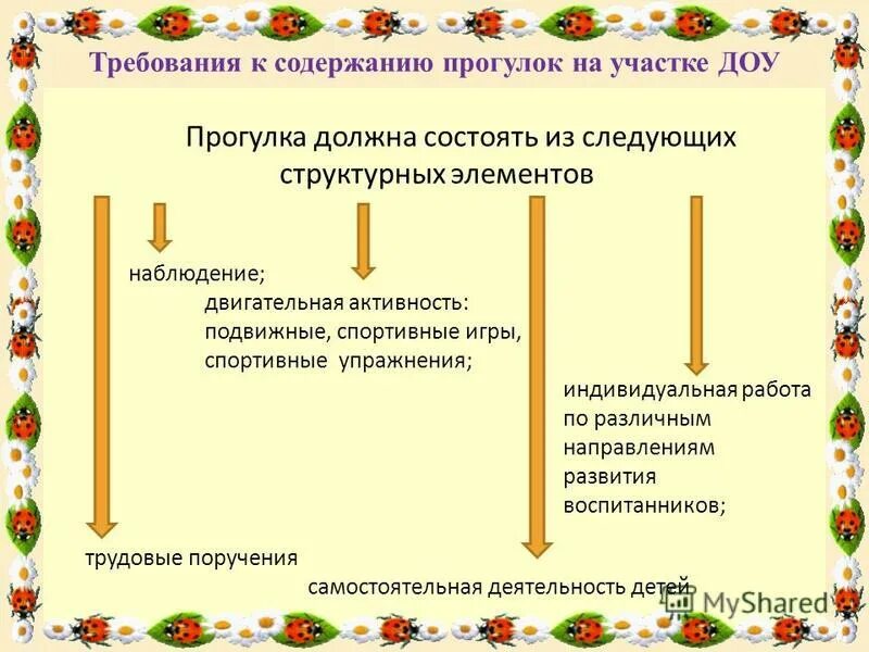 Требование к прогулкам