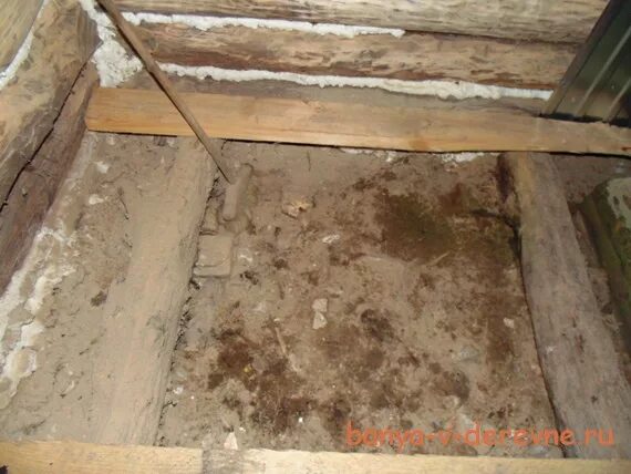 деревянные полы в частном доме. сделать полы в деревне. деревянные полы в частном доме. сделать полы в деревне. сделать полы в деревне.