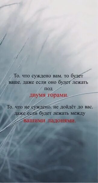 Суждено быть с тобой 11. То что суждено вам. то что суждено вам будет ваше. то что суждено вам будет ваше даже если. чему суждено быть.