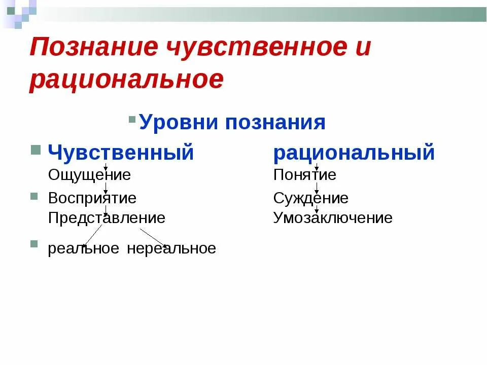 Чувственное познание и рациональное познание. Чувственный и рациональный уровни познания. Уровни познания чувственное и рациональное познание. Уровни чувственного познания.