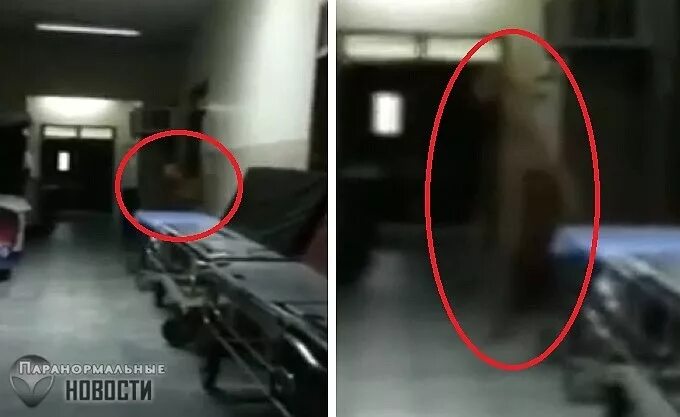 Призрак в больнице в реальной жизни. Призрак врача в больнице. Психиатрическая больница призраки. Страшные больницы с призраками. Увидела призрака в больнице.