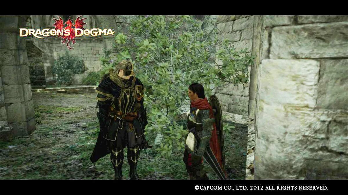 Dragon s dogma 2 безымянная деревня. Драгон Догма герцогиня. Dragon's Dogma меч дракона. Лопата Dragon's Dogma. Драгонс Догма 2012.