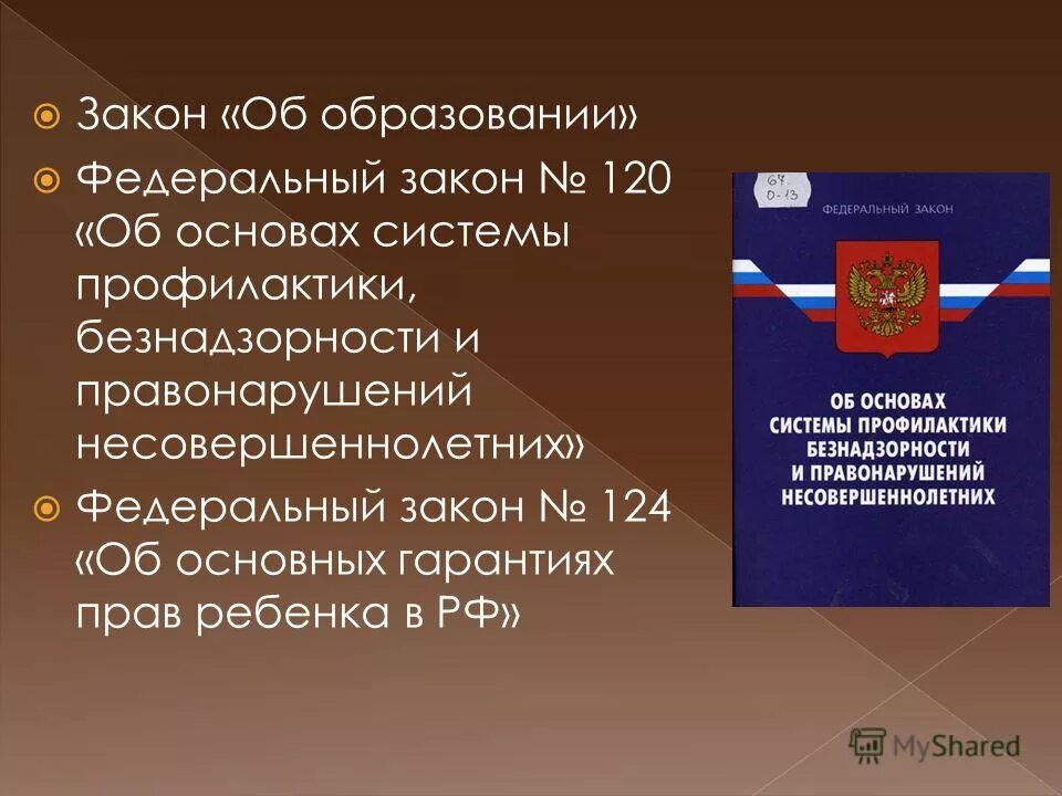 Статья 120 об основах системы профилактики