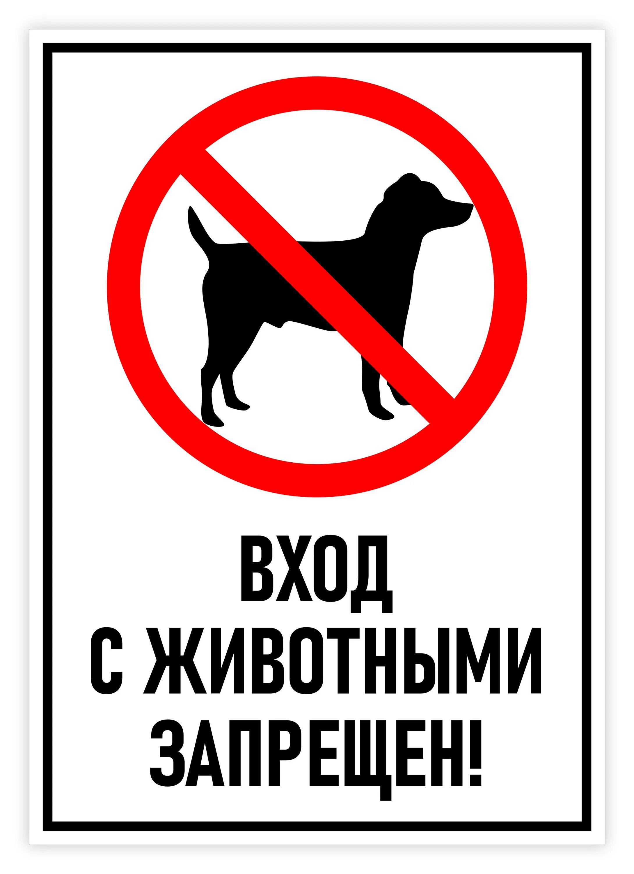 В магазин с животными не входить. Вход с собаками запрещен. Вход с животными запрещен табличка.