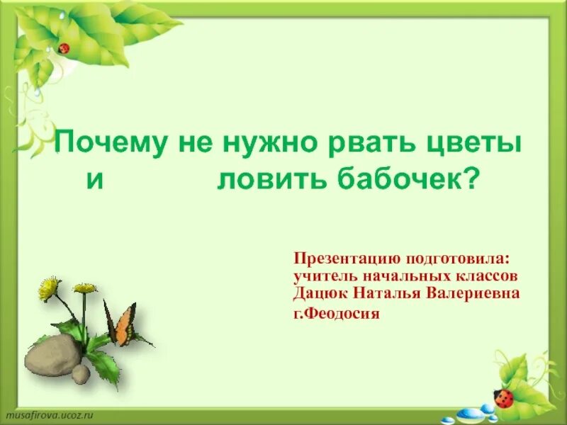 Рвать цветы и ловить бабочек. Цветы не надо срывать почему. Почему не надо рвать цветы и ловить бабочек. Почему нельзя рвать цветы и ловить бабочек.