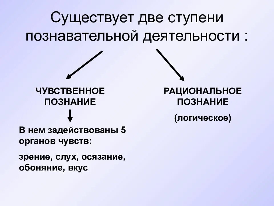 Две ступени познавательной деятельности. Познавательная деятельность чувственное и рациональное. Познавательная деятельность ступени познания. Познавательная деятельность человека ступени познания.