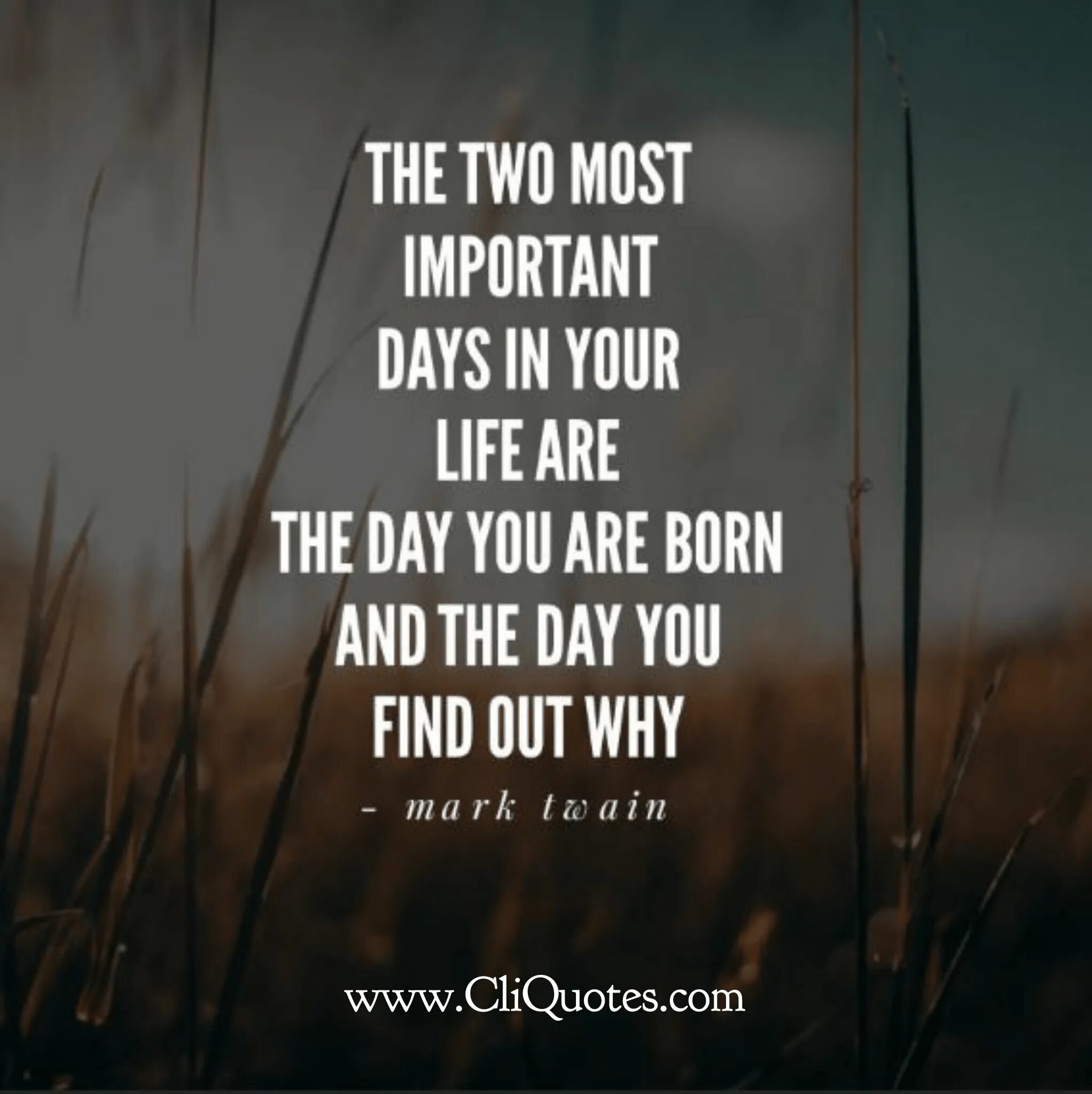 The two most important days in your life are. It is the important day. It is the important day. It is the important day. The two most important days in your life are.