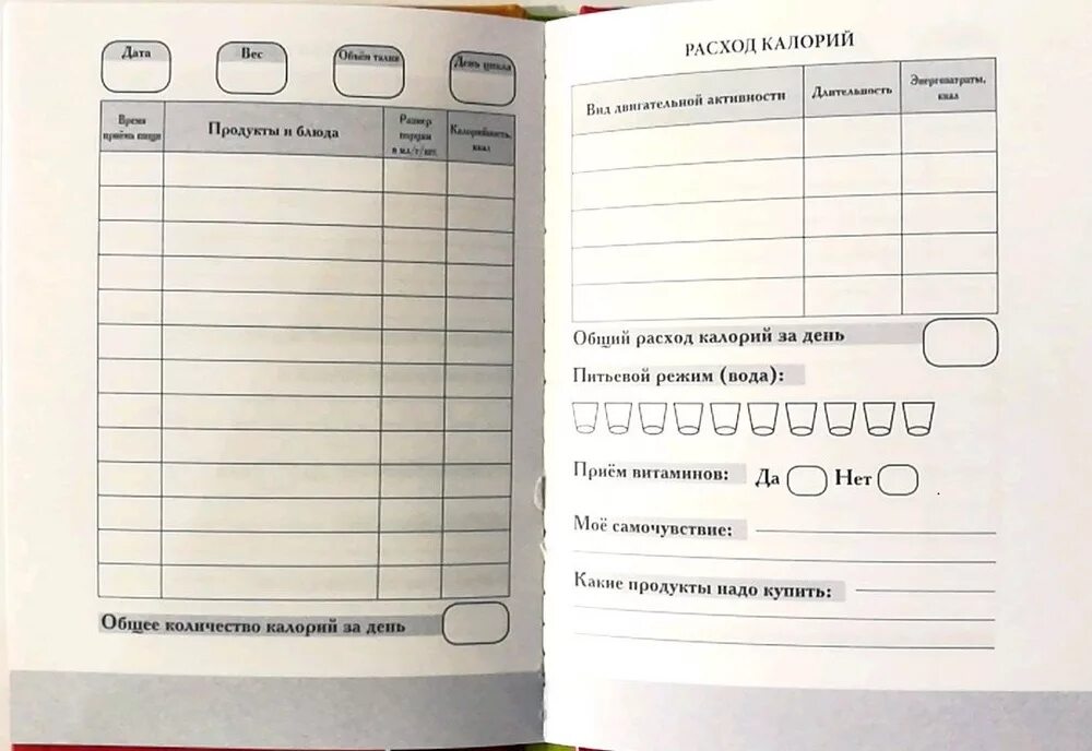 Дневник питания. Дневник похудения. Как выглядит дневник питания. Блокнот с диетой. Практика ведения дневника