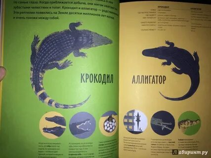 Чем они отличаются книга