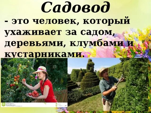 Садовник краткое содержание. Профессия садовод для дошкольников. Садовник краткое содержание. Садовник профессия описание. Садовод профессия описание.