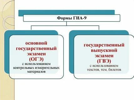 Гиа в фокусе 8