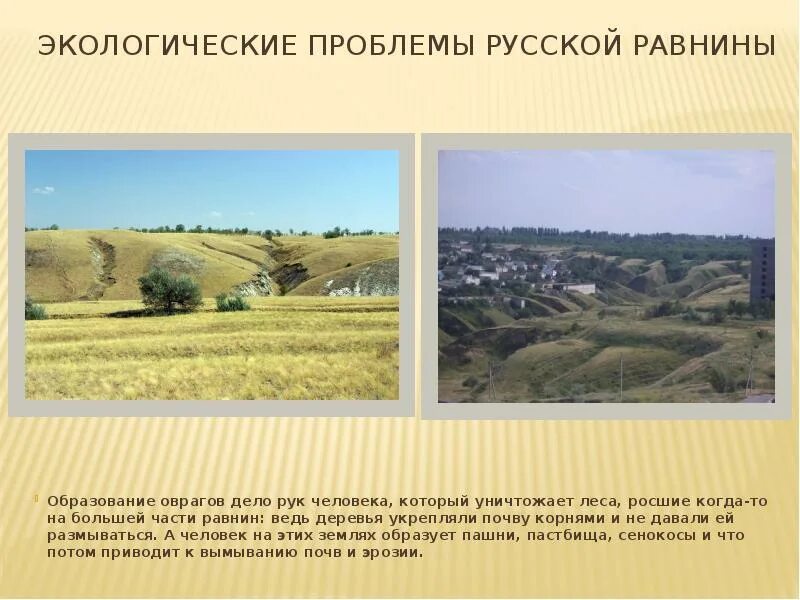 Проблемы использования природных ресурсов восточно европейской равнины. Экологические проблемы русской равнины. экологические проблемы восточно европейской равнины. экологическая ситуация восточно европейской равнины. экология проблемы русской равнины.