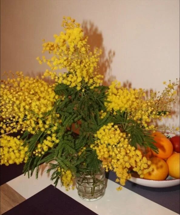 Большой букет мимозы. Как можно дольше сохранить мимозу. Мимоза в коробке. Как можно дольше сохранить мимозу. Мимоза в вазе.