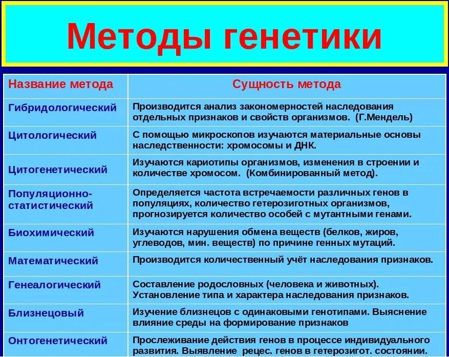 Генеалогический метод изучения генетики человека таблица. Методы биологических исследований метод генетики человека. Основные методы исследования генетики человека таблица. Метод изучения генетики человека таблица.