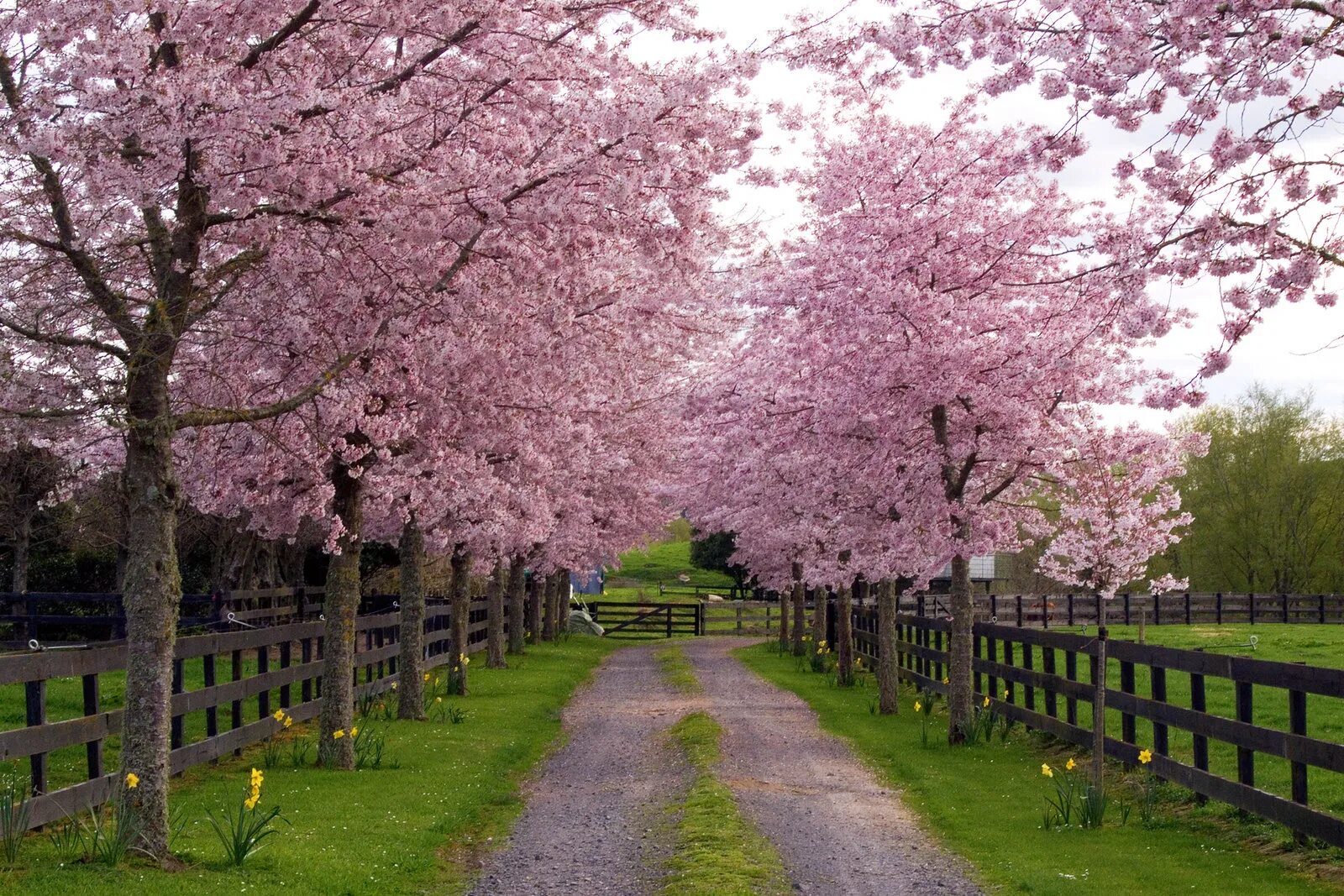 Springtime